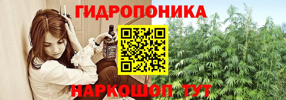Канабис сатива  Марихуана план  Бошки Шишки семена  Бошки марихуана Bruce Banner  Арсеньев  Вход с VPN 